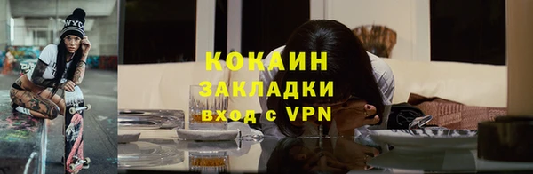 сатива Аркадак