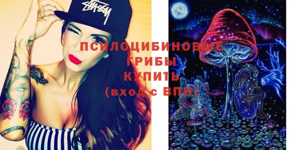 ПСИЛОЦИБИНОВЫЕ ГРИБЫ Михайлов