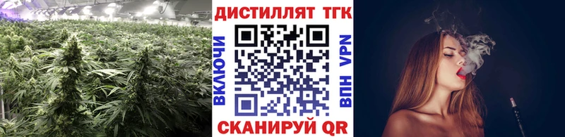 shop состав  Шагонар  ТГК концентрат 